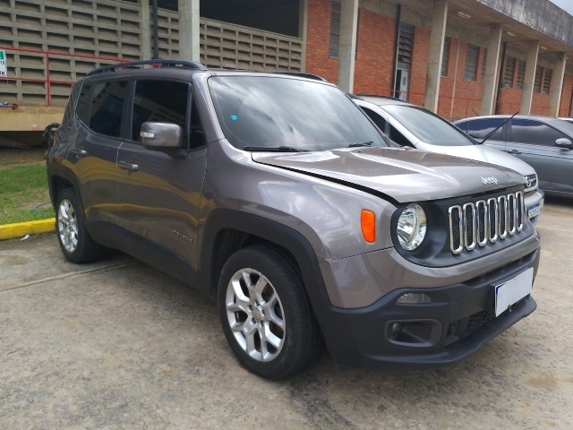 RENEGADE LNGTD AT 2016